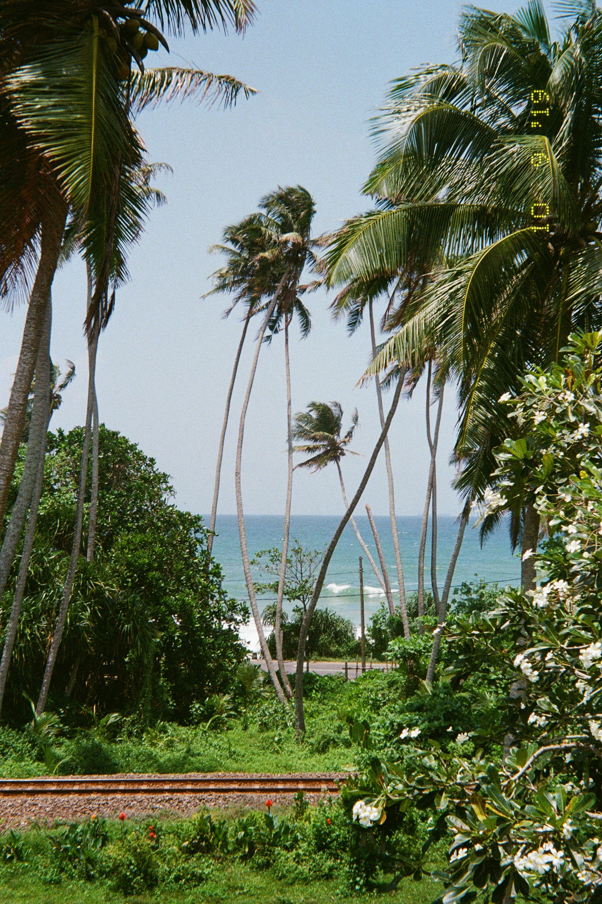 Southern Coastal Drive
